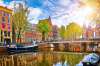 AMSTERDAM | INFLORIREA LALELELOR. Transport...
