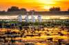Circuit DOBROGEA STRAVECHE, DELTA DUNARII...