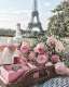 PARIS, Mon Amour!Transport Avion AIR FRANCE...