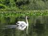 EXCURSIE 2 ZILE DELTA DUNARII - MILA 23 -...