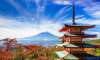 Viziteaza JAPONIA - ARMONII DE TOAMNA si...