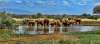 SUPER OFERTA - CIRCUIT SI SAFARI IN AFRICA...