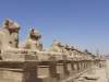 1 DECEMBRIE EGIPT 2 ZILE CAIRO, GHID ROMAN,...