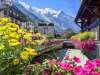 Oferta speciala ELVETIA - Splendoarea Alpilor:...