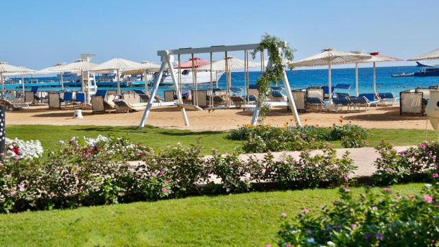Sejur in Hurghada: 500 euro cazare 7 nopti cu All inclusive+ transport avion+ toate taxele