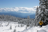 foto Ce sa faci iarna intr-o vacanta la munte daca nu stii sa schiezi sau sa te dai cu placa