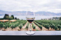 foto Top 5 soiuri de vin din Republica Moldova