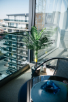 Apartament Garsonieră, Mamaia Nord, Piscină, Parcare Inclusă