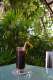  Patong Bay Residence