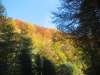  Gasthof Plattner