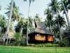 Hotel Outrigger Phi Phi Island Resort & Spa