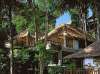  Banyan Tree Bintan