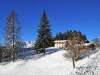  Apartament Pt. 4-6 Persoane(wwg130)