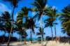  Bwejuu Beach Palm Villa