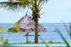 Hotel Bwejuu Beach Palm Villa