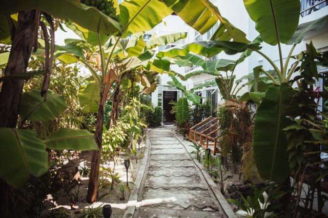 🔥 Perla Dhangethi Guest House – Vrei Maldive la super preț?Doar 1208 Euro/pers