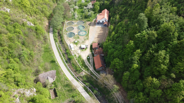 Pensiune Camping Băcâia