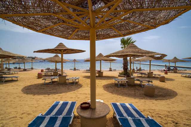 Sejur in Sharm El Sheikh: 540 euro cazare 7 nopti cu All inclusive+ transport avion+ toate taxele