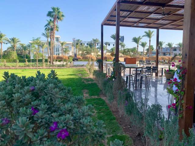Last Minute 🐪 HURGHADA 🐪 XANADU CLUB 5* HIGH CLASS All Inclusive - hotel nou deschis 2025
