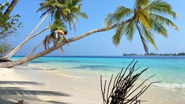 ULTRA LAST MINUTE PE PLAJA IN MALDIVE LA 4**** ALIMAS HOLIDAY RETREAT DEMIPENSIUNE  ZBOR DIRECT DIN OTOPENI CU TAXE INCLUSE