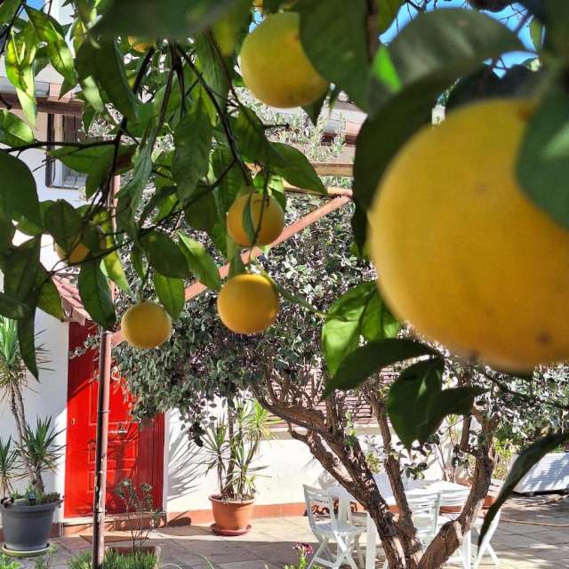 LAST MINUTE AMALFI COAST GIALLO LIMONE 3***  MIC DEJUN ZBOR DIN OTOPENI CU TAXE INCLUSE