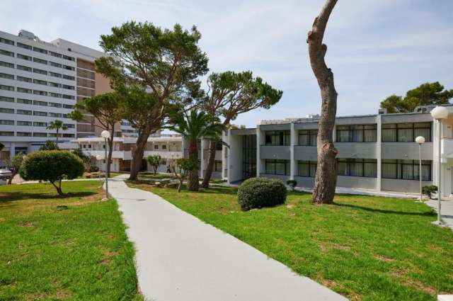 MALLORCA, AVION DIN SIBIU, LA HOTEL ALUASUN CALA ANTENA 3*, LA TAREIFUL DE 899 EURO/PERS, ALL INCLUSIVE!