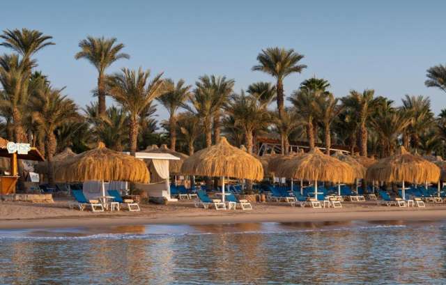 Sejur in Sharm El Sheikh: 650 euro cazare 7 nopti cu All inclusive+ transport avion+ toate taxele