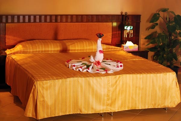 Sharm el Sheikh -Falcon Naama Star Hotel 4*- Plecare 02.04.2023-  AI- Toate Taxele Incluse - din Bucuresti