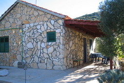  Casa Olive Tree