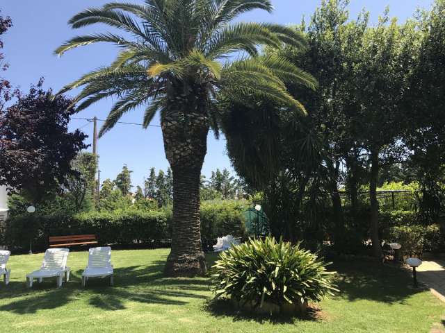 OFERTA LAST MINUTE GRECIA-CRETA CU PRET DE LA 449 EURO/PERSOANA, PLECARE IN DATA DE 24.07.2025