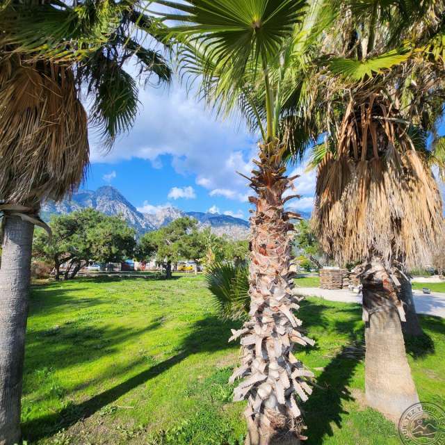 LAST MINUTE TURCIA   SANTANA HOTEL 4*AI AVION SI TAXE INCLUSE TARIF 431 EURO
