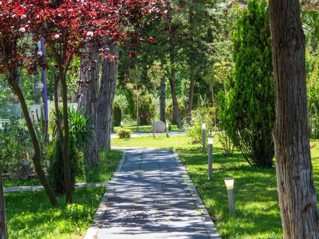 SUPER OFERTA HOTEL IBIS STYLES 4* VENUS, 5 NOPTI CAZARE ALL INCLUSIVE