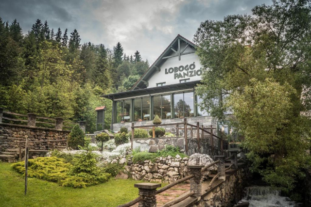 LAST MINUTE LOBOGA RESORT 3*, BAILE HOMOROD, 5 NOPTI CAZARE CU DEMIPENSIUNE SI SPA