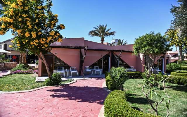 LAST MINUTE Eagle Paradise Soma Bay 4* ALL-INCLUSIVE PROMO AVION SI TAXE INCLUSE DOAR-576 EURO