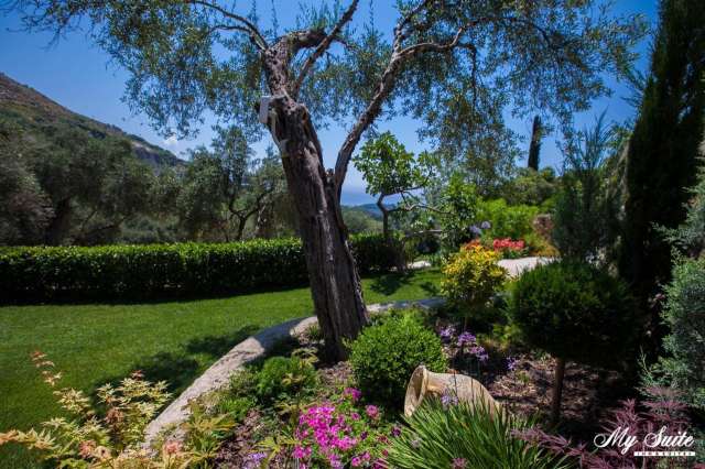 LAST MINUTE PARGA My Suite Boutique Hotel Parga 3* BB AUTOCAR INCLUS TARIF 409EUR