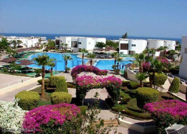 SHARM EL SHEIKH HOTEL  Sharm Reef 3*  AI AVION SI TAXE INCLUSE TARIF 517 EURO