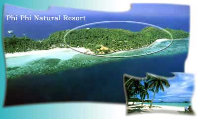  Phi Phi Natural Resort