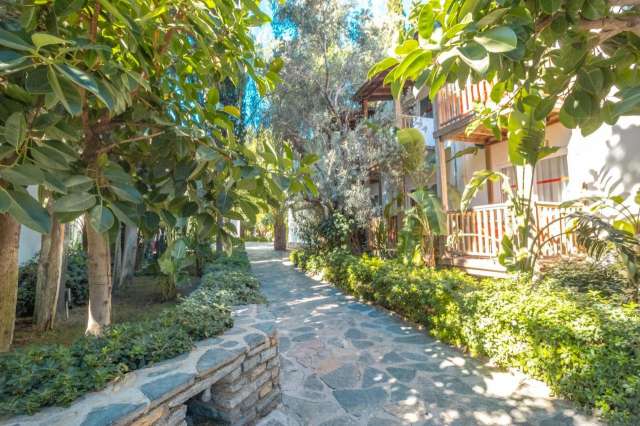 Sejur in Bodrum: 725 euro cazare 7 nopti cu Ultra All inclusive+ transport avion+ toate taxele