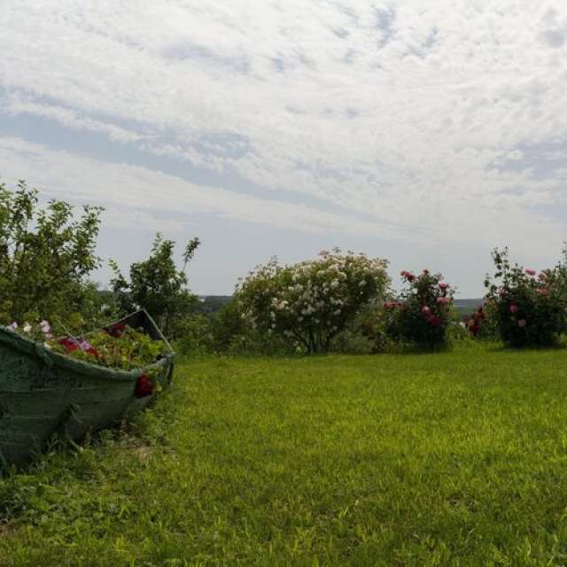 LAST MINUTE Hotel Casa Lac de Verde Baltenii de Sus 3* PROMO DOAR- 662 RON