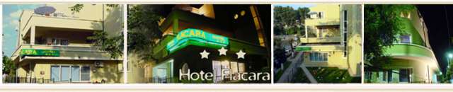 Hotel Flacara