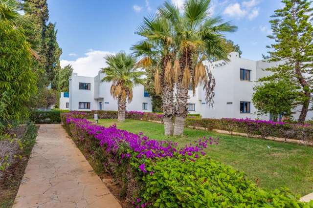 03.10 avion Cluj Napoca, Cipru - Zona Larnaca Ayia Napa, MarisMare Apartments 753 EURO, 7 nopti, Fara masa
