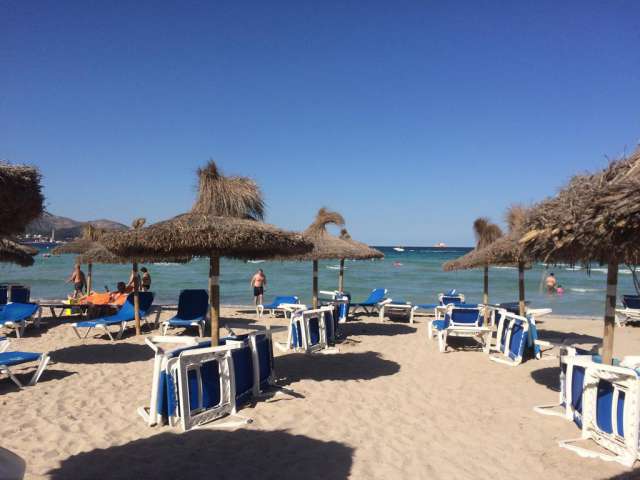 ULTRA LAST MINUTE PALMA DE MALLORCA 3*** STIL BONSAI ZBOR DIN OTOPENI CU TAXE INCLUSE