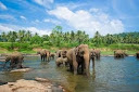 SRI LANKA – Circuit, Safari si Sejur PREMIUM TOURS AVION SI TAXE INCLUSE TARIF 2090 EUR