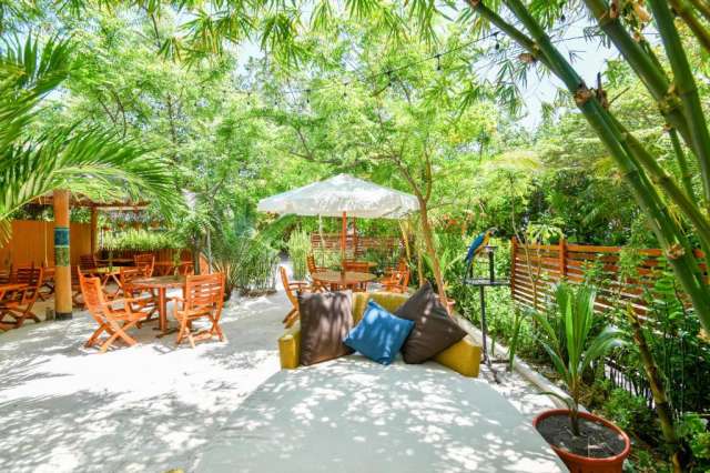 Last Minute Maldive - Ostrov Beach 3* - zbor DIRECT din Bucuresti