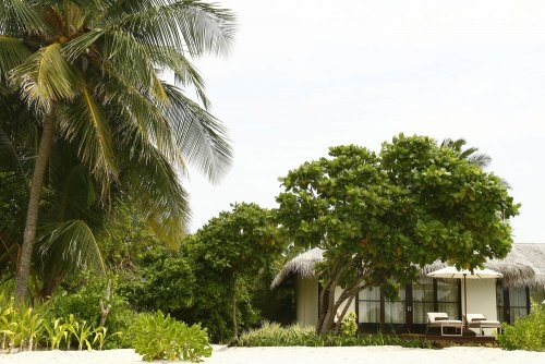  Zitahli Resorts & Spa Kuda Funafaru