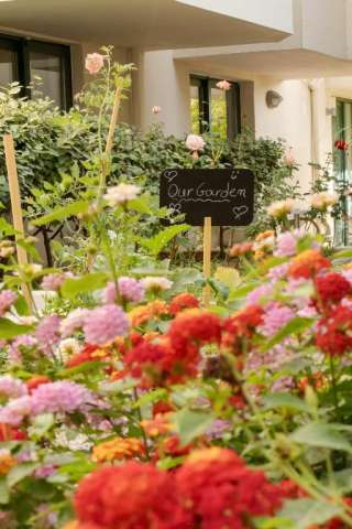 Last Minute Chania Creta oferta 6 nopti cu mic dejun 549 euro/persoana ! 