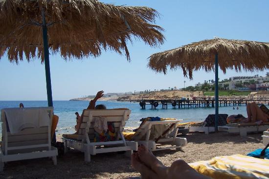 Sejur la plaja in Sharm el Sheikh la doar 769 euro,avion din Bucuresti!!!Grand Plaza Resort 5*