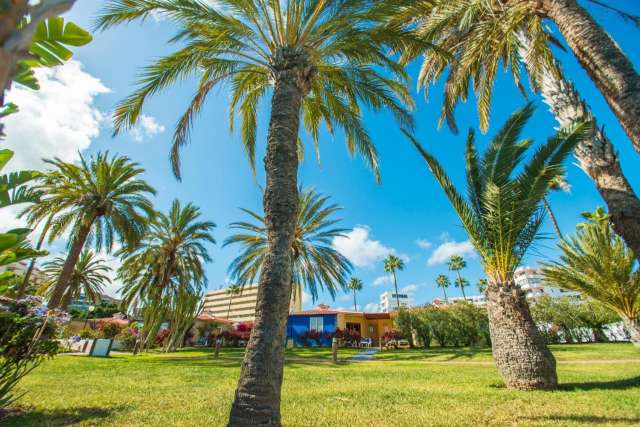 ULTRA LAST MINUTE INSULELE CANARE 4****DEMIPENSIUNE HL MIRAFLOR ZBOR DIRECT DIN OTOPENI CU TAXE INCLUSE