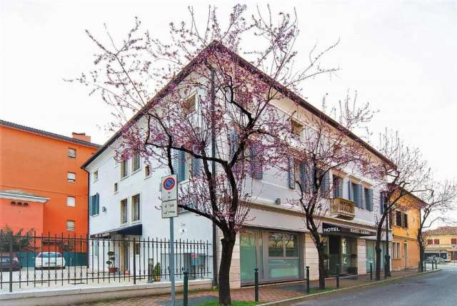 PETRECE PASTELE IN 🎭 VENETIA ✈️🧳 ZBOR DIN SUCEAVA📍🗺️