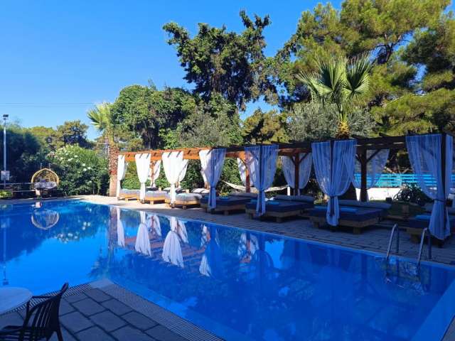 19 august Ultimele locuri Rhodos, Grecia din Bucuresti Trees Art Hotel &amp; Suites 3* 649 euro/pers Nota 8.7